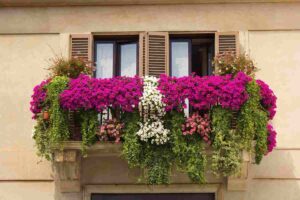 Piccioni sul balcone