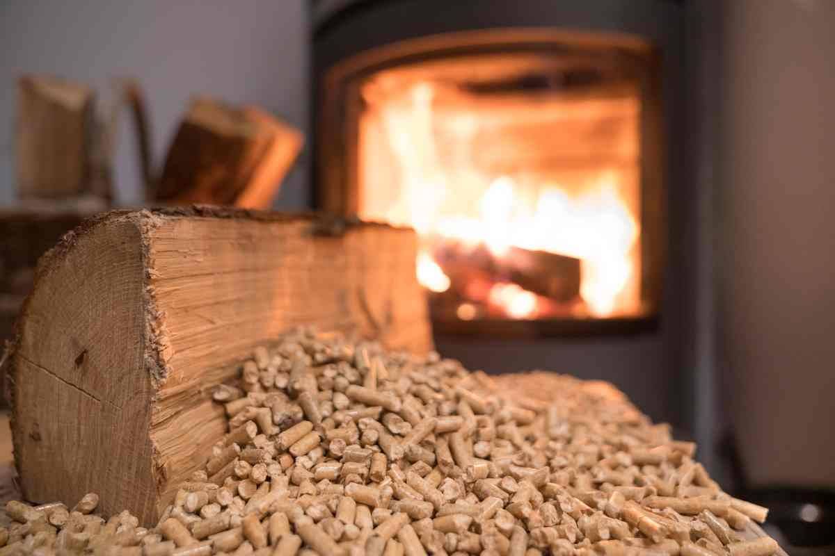 Canna fumaria, invasioni di api
