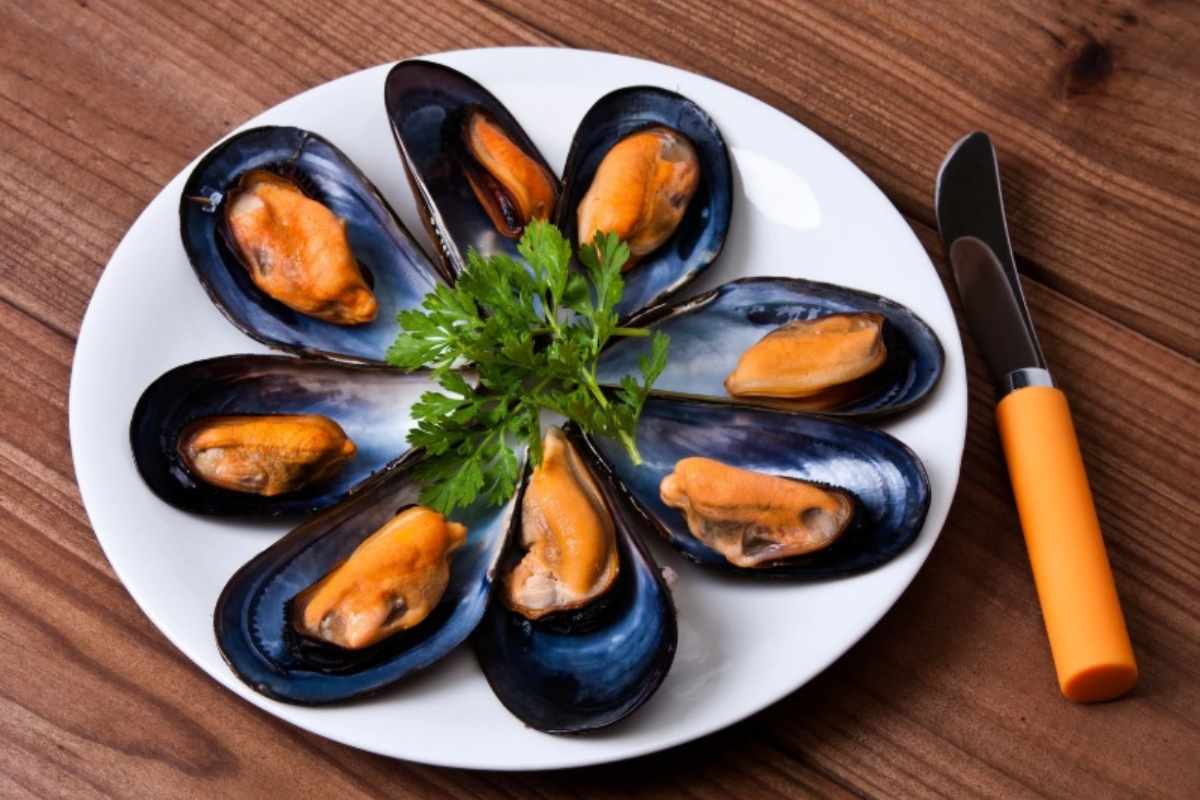 Cozze