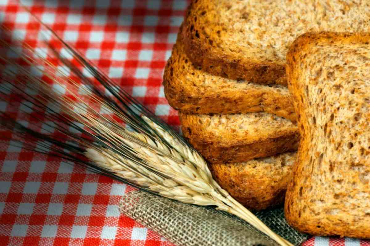 Fette biscottate integrali