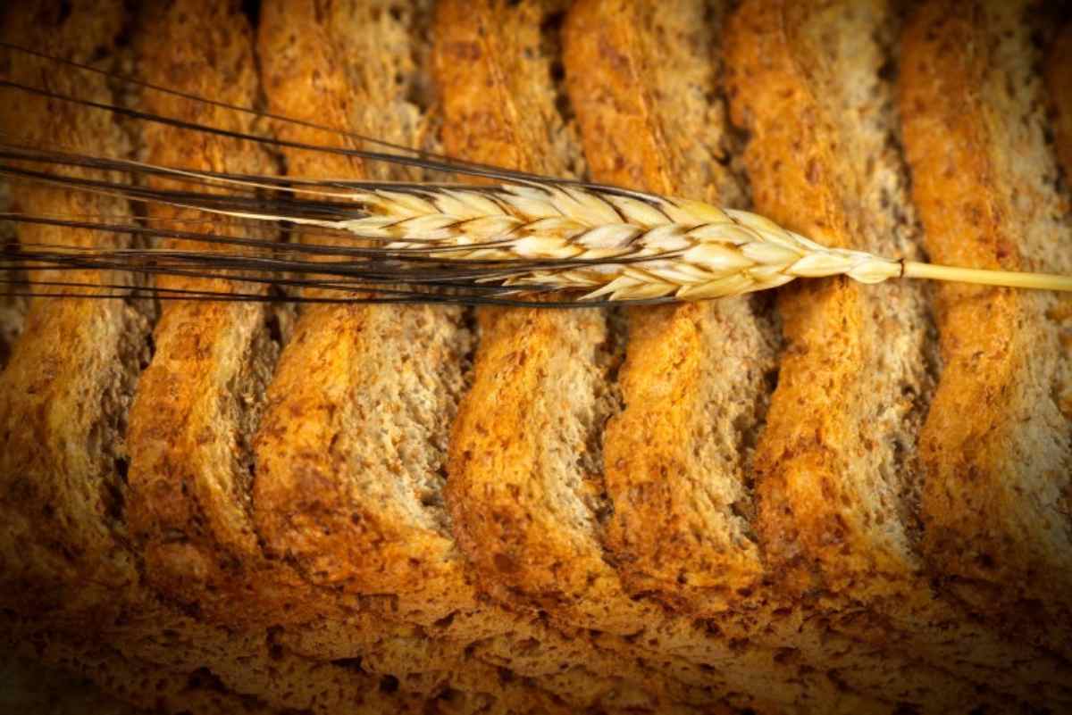 Fette biscottate