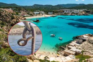 Ibiza Spagna