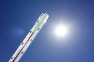 Termometro alta temperatura