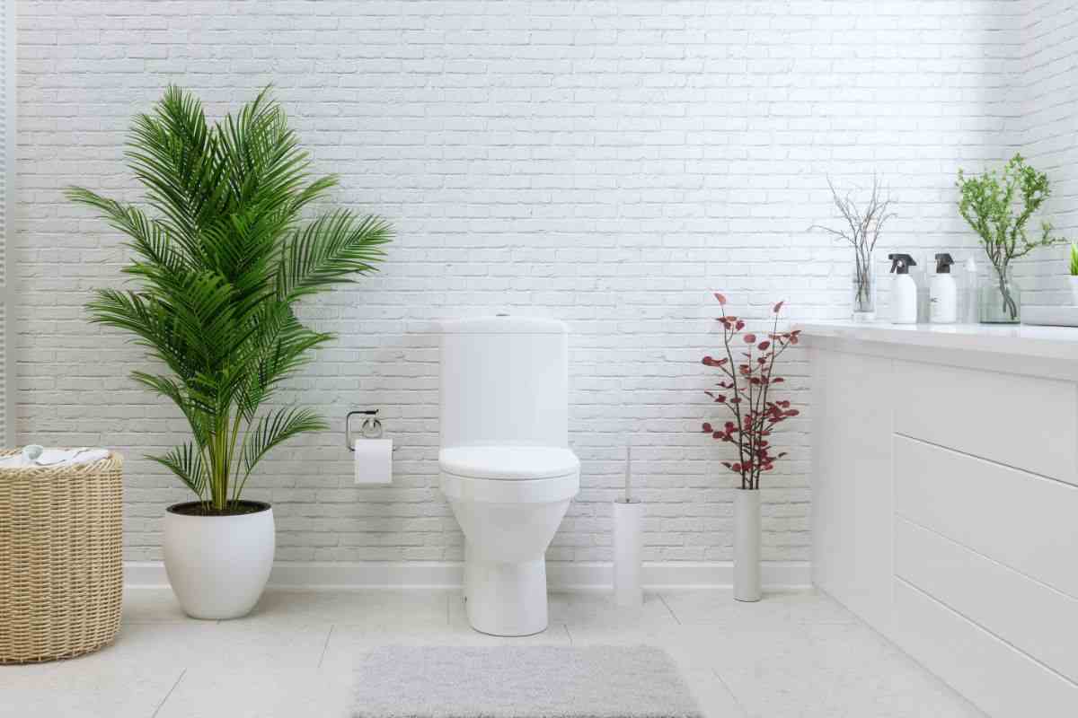 bagno in ordine con piante decorative