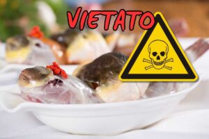 alimenti vietati italia