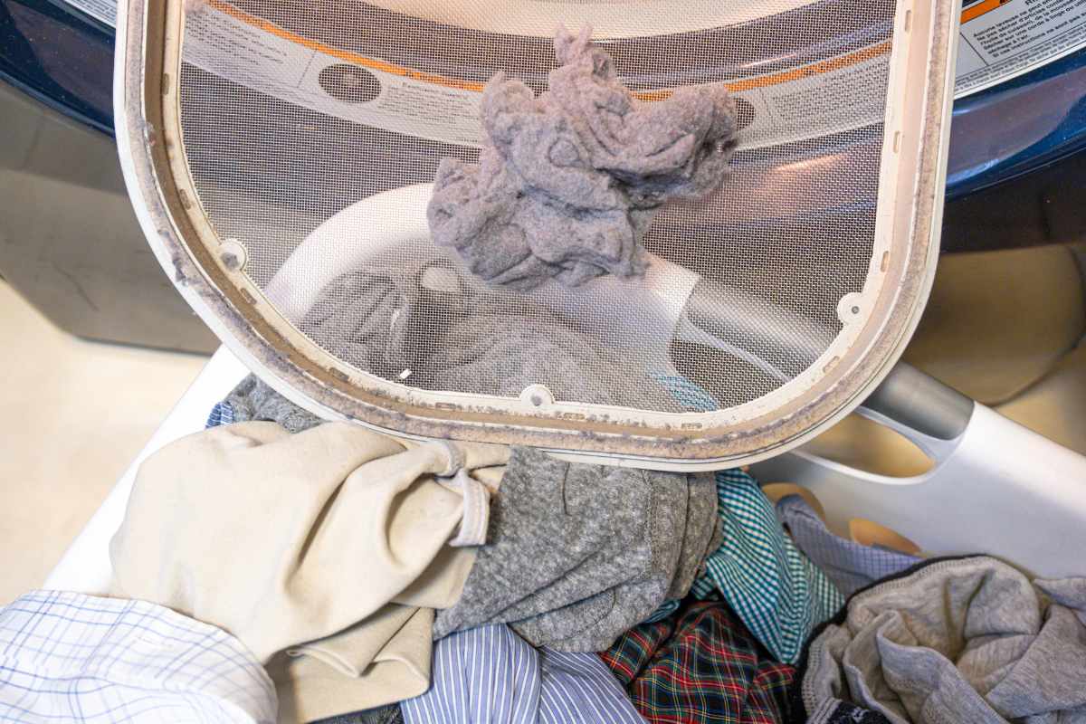 pelucchi sul bucato