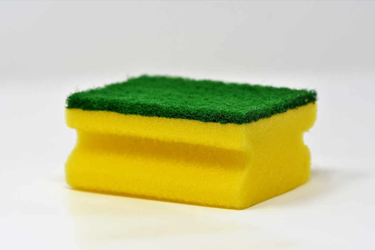 spugnetta gialla