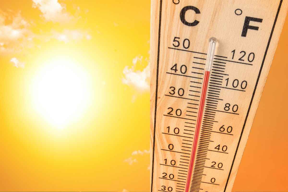 caldo temperature sole