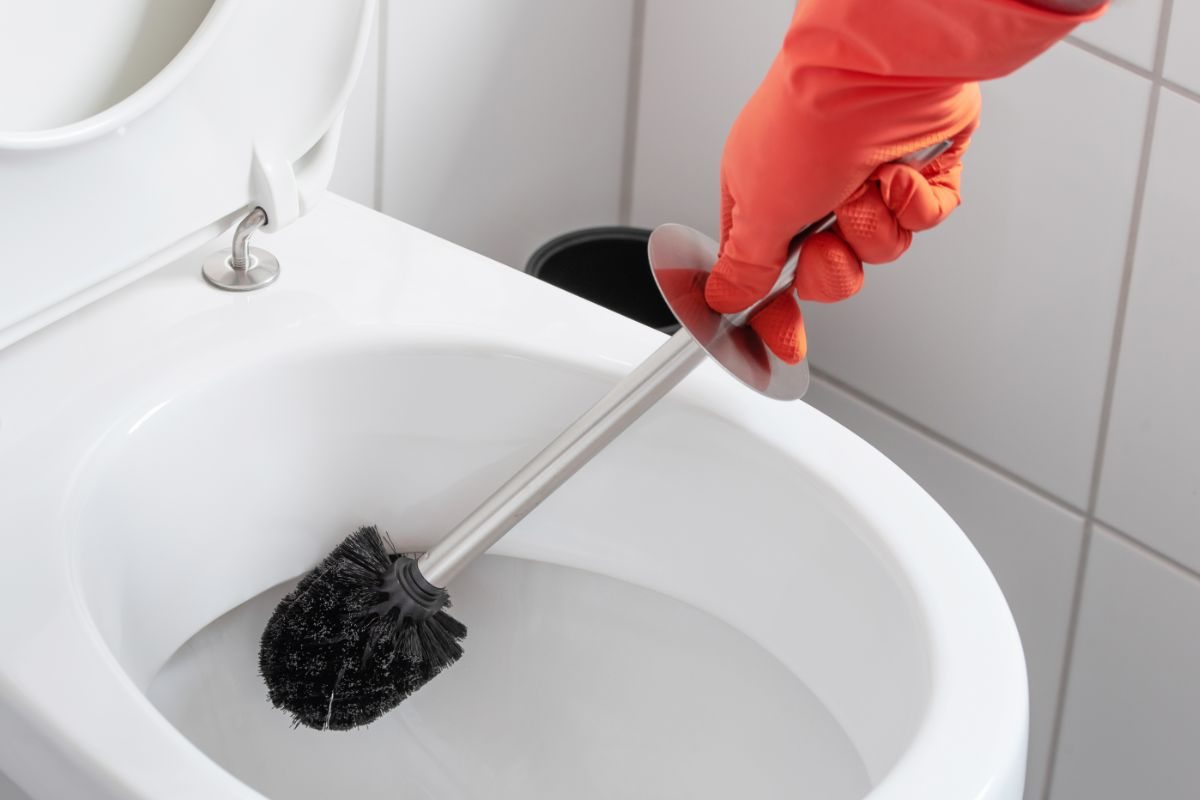 persona pulisce wc